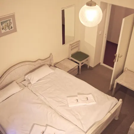 Ξενοδοχείο St.michael Κάρλοβι Βάρι