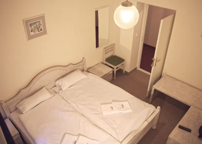 Hotel St.michael Karlowe Wary